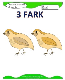 İki Resim Arasındaki Farkı Bul Etkinliği